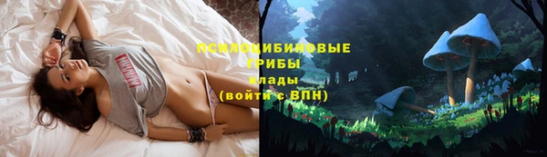 МДПВ Алексин