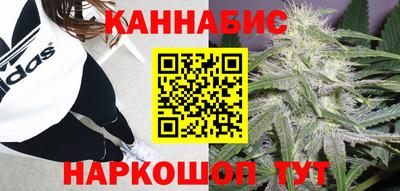 крисы Волжск
